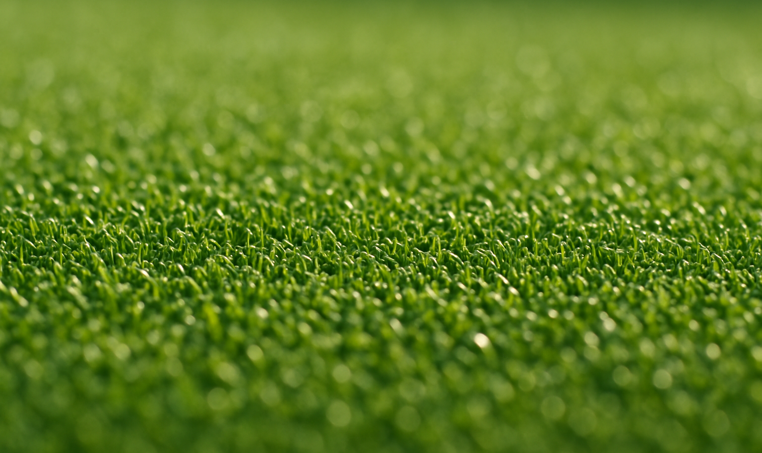 Short Golf Green Grass Macro